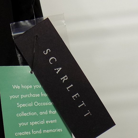 Scarlett Layered Embellished Neck Dress Sz 12 NWT - Picture 7 of 13